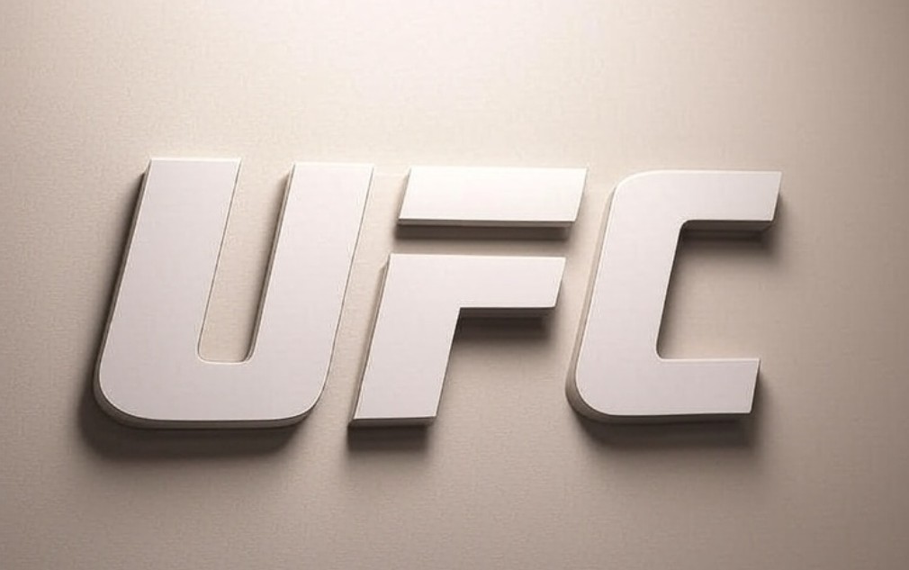 UFC Fighting Rules Explained